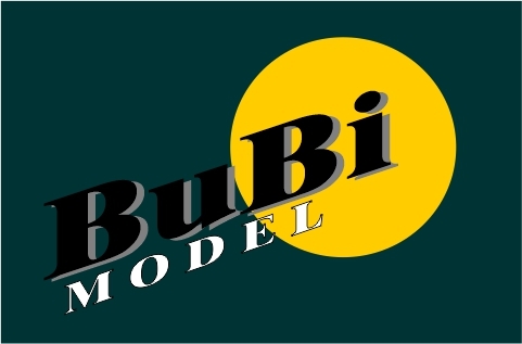 BuBi Model